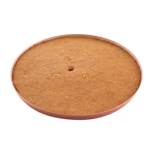 Plain Basbousa Platter - طبق بسبوسة سادة
